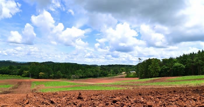 7º Horti Serra Gaúcha será retomado em novo formato com foco em inovação e sustentabilidade no agronegócio