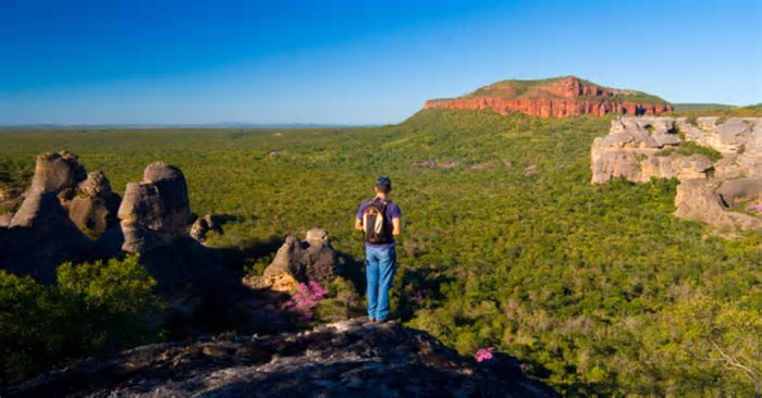 Pesquisa mostra as preferências turísticas de cada região do Brasil