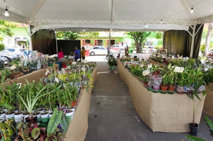 Home Center recebe Feira de Flores de Holambra no Recife