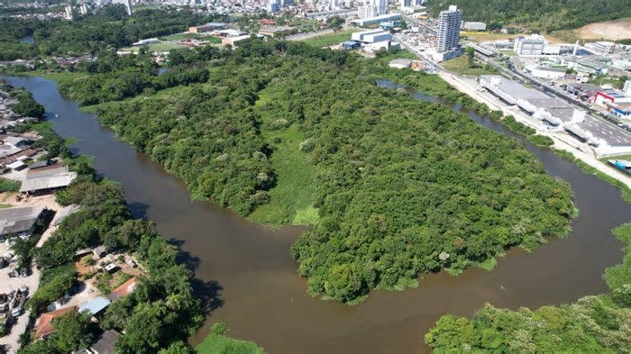 Ilha dentro de cidade catarinense vai virar parque natural municipal; saiba onde
