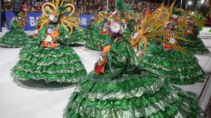 Carnapets, Carnamar, Carnaflores: veja opções no estado de SP para aproveitar a folia