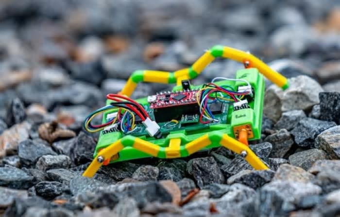 Esta aranha robô pode ajudar a encontrar minas terrestres escondidas