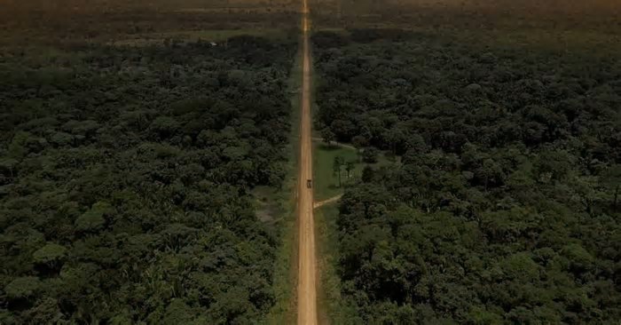 Masp exibe trilogia de vídeos sobre a rodovia Transamazônica