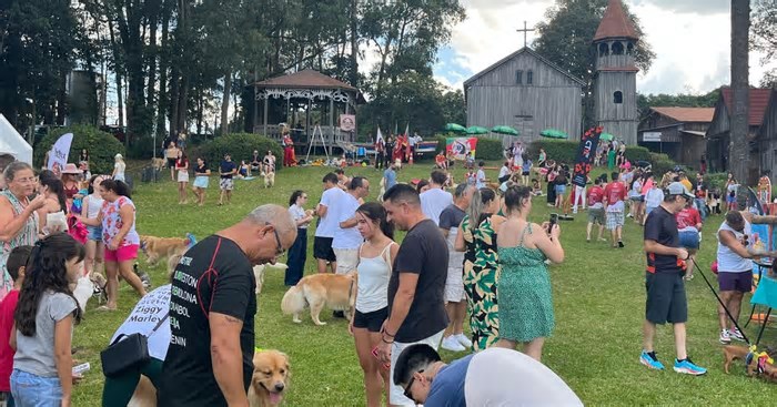 3ª edição do CarnavAU dos Goldens movimenta os pavilhões da Festa da Uva em Caxias do Sul