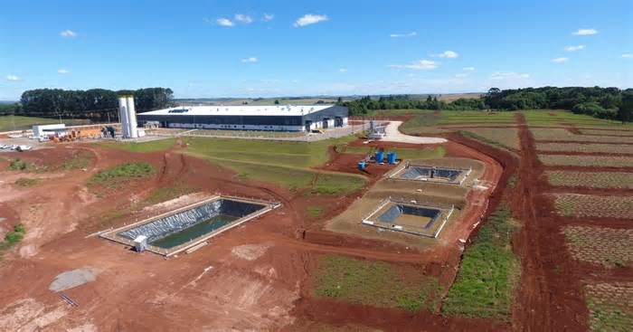 Indústria de frangos amplia operação no norte do RS com incubatório de R$ 70 milhões