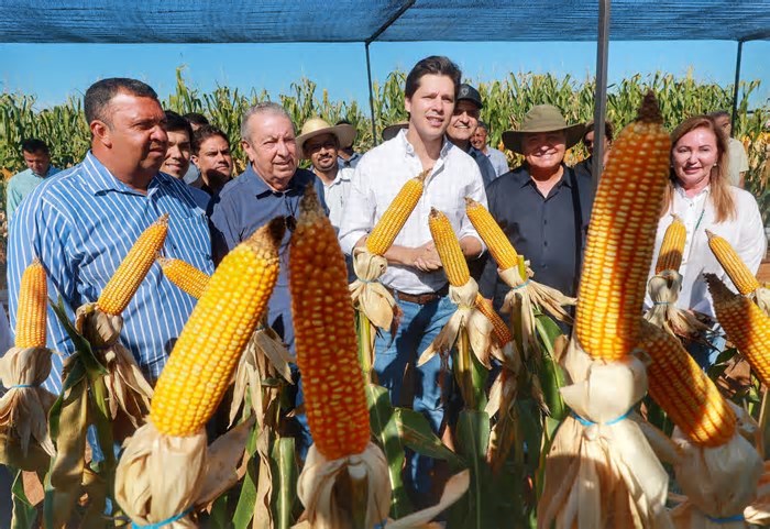 Vale do Araguaia: A Nova Potência Agrícola que Pode Colocar Goiás no Top 3 do Brasil