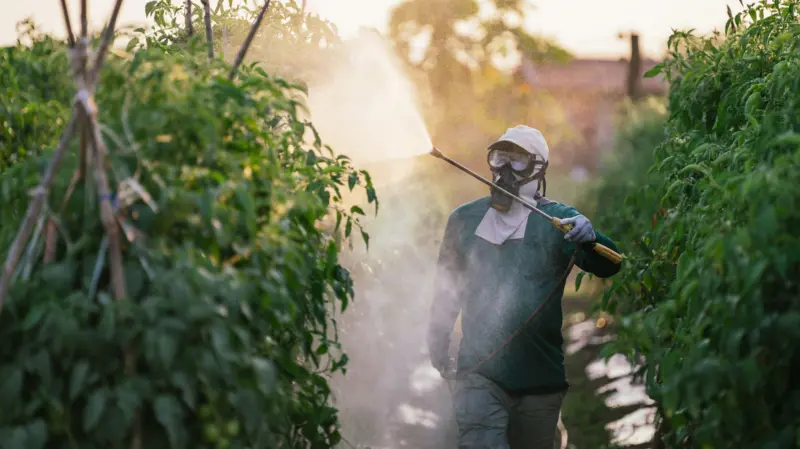 'As pessoas preferem não saber o que tem no alface, tomate ou morango, porque, se soubessem, não comeriam'