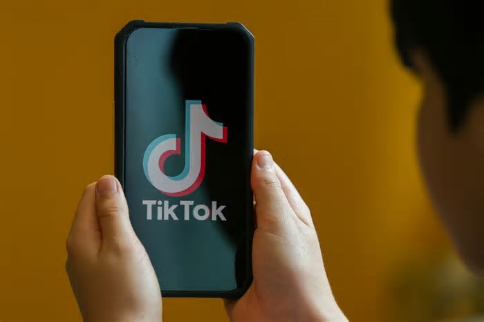 Proibição de celular nas escolas vai exigir cuidados com crianças e adolescentes já viciadas em tecnologia