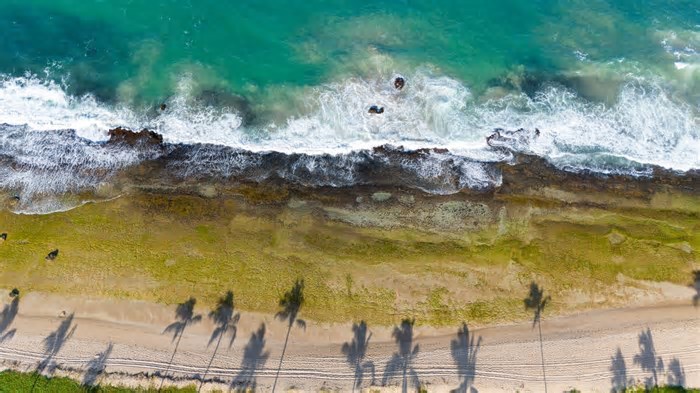 6 praias de Pernambuco que você não pode deixar de conhecer