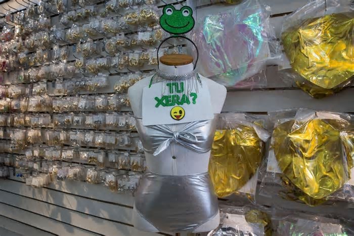O que comprar com até R$ 100 no Centro de Fortaleza para o Carnaval? Veja opções de fantasias
