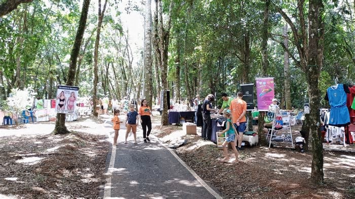 Pequenos empreendedores transformam bosque em feira de negócios