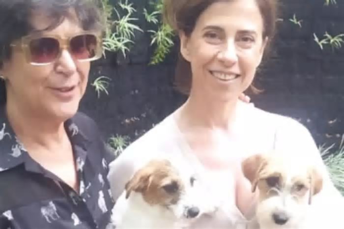 Cachorros de 'Ainda Estou Aqui' são premiados no 'Oscar canino'
