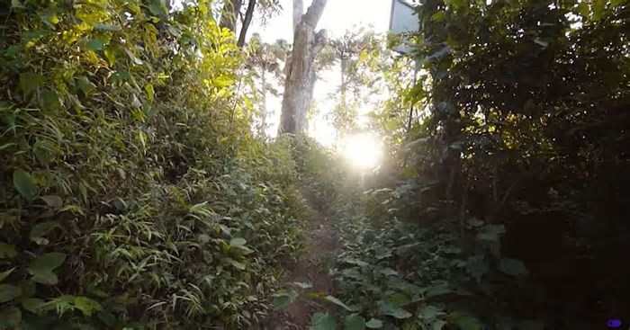 Onde fica o paraíso escondido na Serra da Mantiqueira?