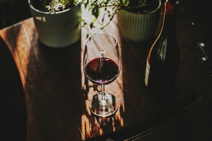 Dia Mundial do Vinho: 8 endereços para tomar vinhos naturais ou de baixa intervenção em SP