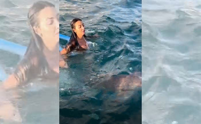 VÍDEO | Turista se assusta com tubarão em Fernando de Noronha