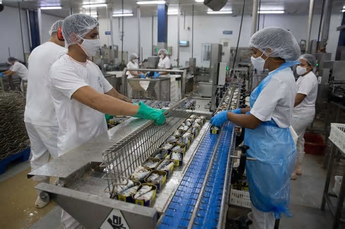 Por que a taxa de desemprego é a menor dos últimos quatro anos no Ceará