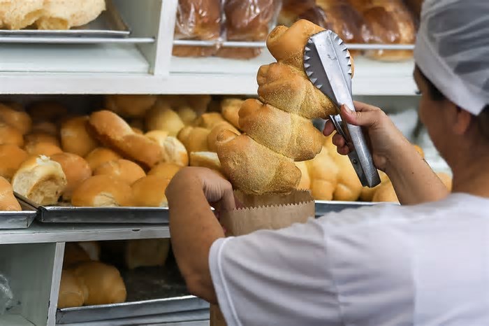 Pequenos negócios lideram a geração de empregos em Santa Catarina em 2024