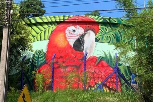 Longe de casa, Jéssica pintou a saudade de MS nas ruas de Floripa