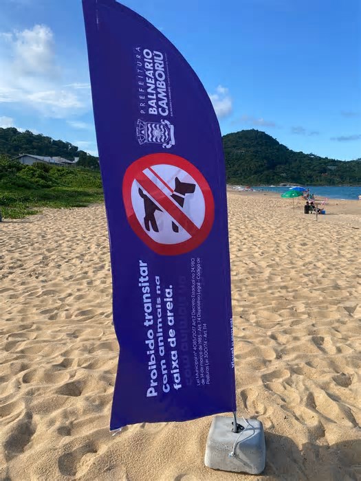 A diferença entre Balneário Camboriú e Florianópolis na polêmica dos cachorros nas praias