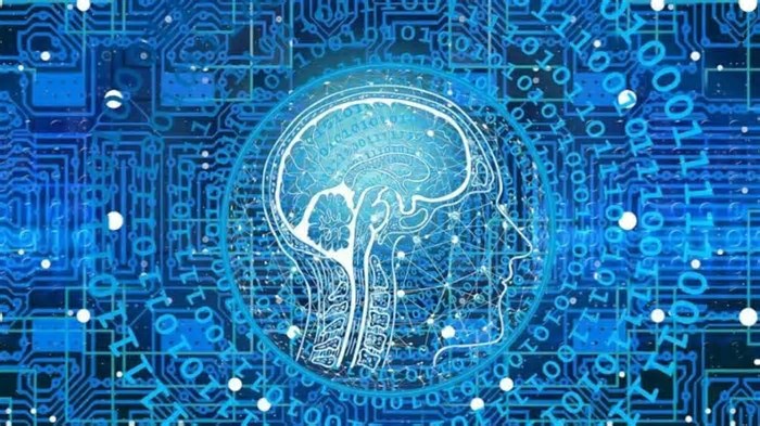 Inteligência Artificial Autônoma: Descubra Como Ela Estuda o Mundo