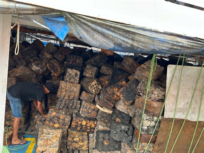 Borracha no Amazonas rende R$ 2,2 milhões para seringueiros