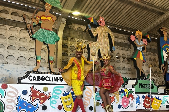 Galo 2025: Alegorias e fantasias exaltam figuras do carnaval de Pernambuco