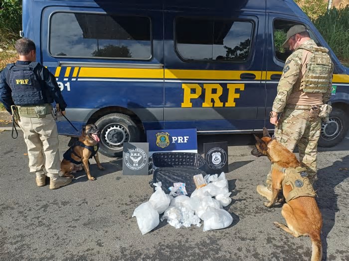 PRF e PF apreendem 8 kg de drogas em operação na BR-101, em Guarapari