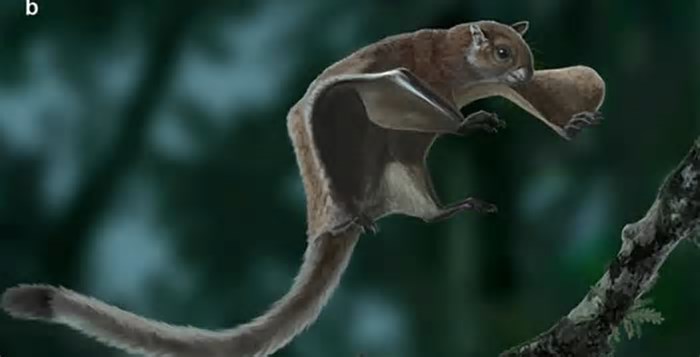 Esquilo voador gigante que viveu há 5 milhões de anos é descoberto nos EUA