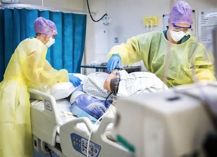 5 anos após pandemia: como a Covid-19 revolucionou a ciência e a medicina para sempre