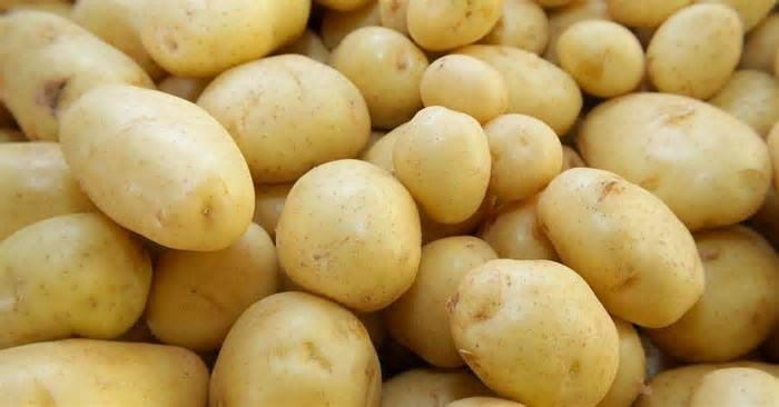 Cesta básica de Porto Alegre tem queda de 1,65% e passa a custar R$ 770,63, aponta Dieese