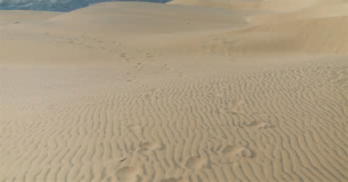 Conheça os lençóis mostardenses, paraíso natural inexplorado no litoral do RS
