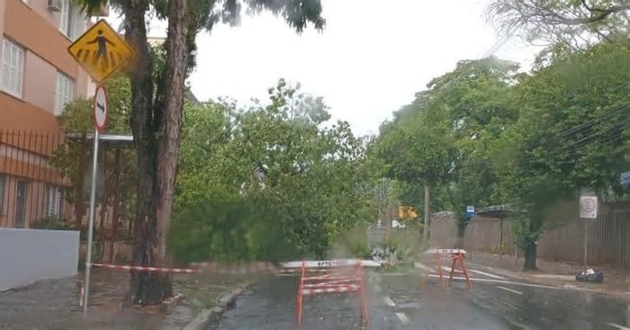 Chuva causa alagamentos, bloqueios no trânsito e queda de árvores e poste em Porto Alegre