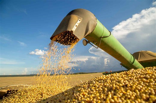 Portal das Commodities estreia quadro com resumo semanal