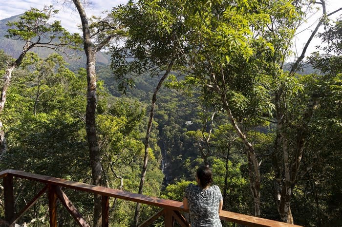 Trilhas são opções de passeios com belas paisagens e sombra para driblar o calorão do Rio