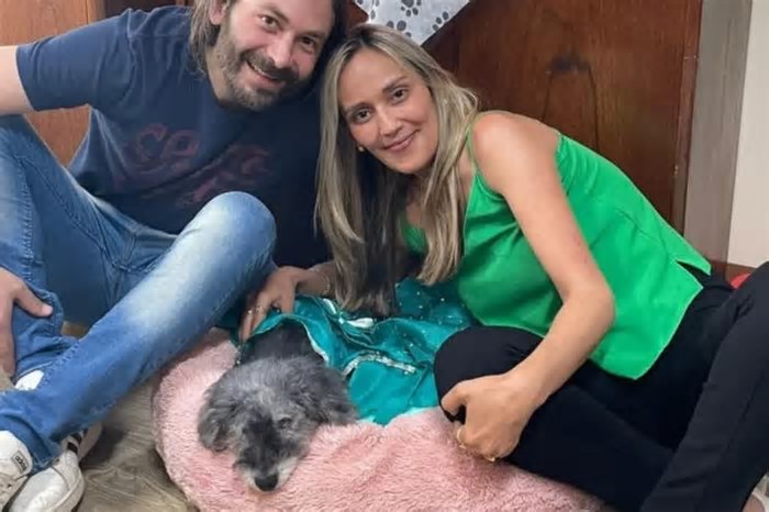 Vereadora realiza festa de aniversário de cadela na Câmara de Caxias do Sul