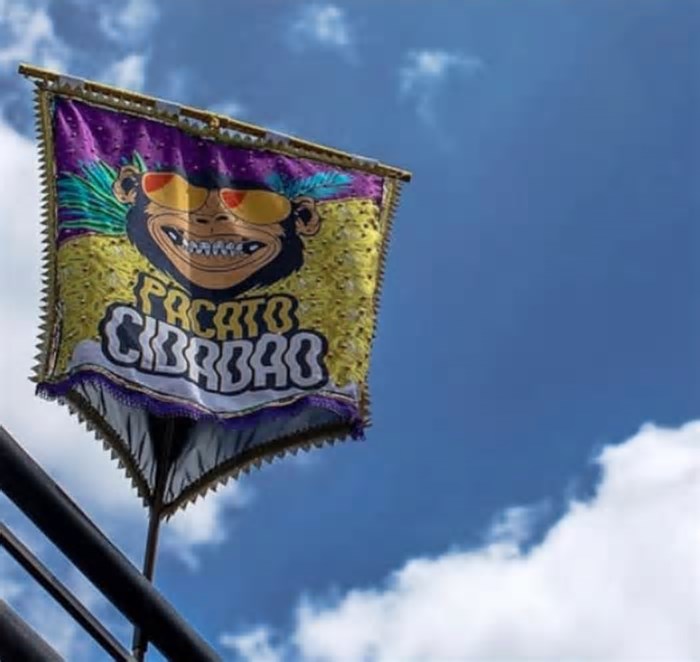 Após pausa, bloco Pacato Cidadão volta ao Carnaval de BH para celebrar o pop rock mineiro