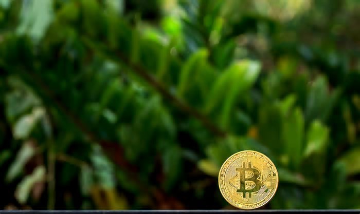 O que é mineração sustentável de criptomoedas?