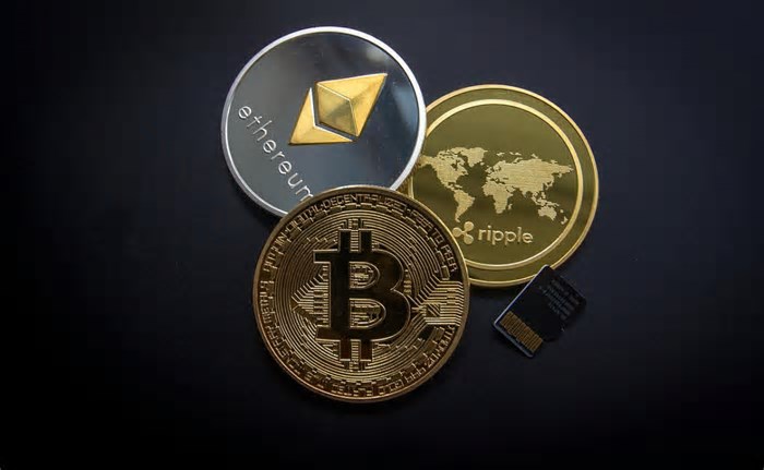 Blumenau e as Criptomoedas: Como a Cidade se Conecta ao Futuro Financeiro