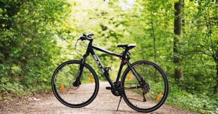 Bicicleta elétrica: cresce a produção do veículo motorizado no Brasil