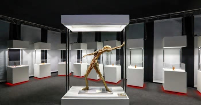 Exposição Internacional Human Bodies - Maravilhas do Corpo Humano