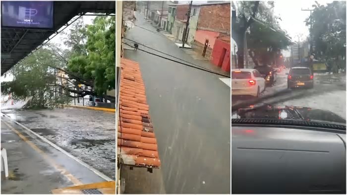 Fortaleza tem forte chuva, e moradores relatam perrengues em ruas alagadas e congestionamento; vídeos