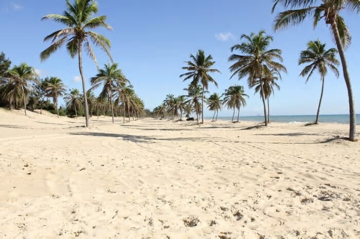 Turismo no Ceará cresce no último trimestre de 2024 e supera índices brasileiros