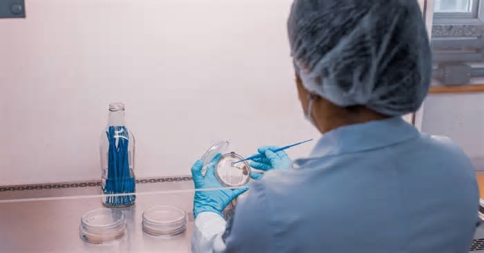 AM recebe inscrições para editais destinados a cientistas mulheres