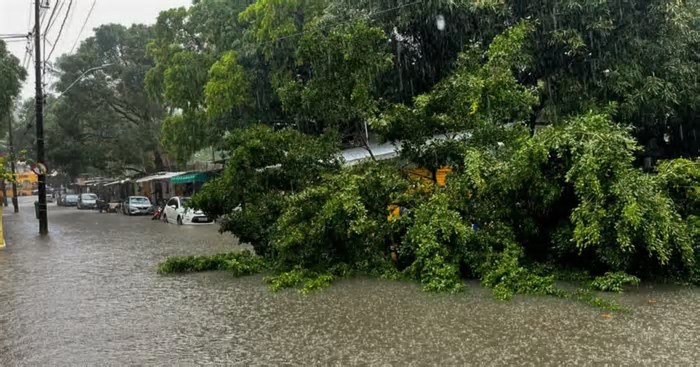 Chuvas causam seis mortes em Pernambuco; Recife está em ‘alerta máximo’