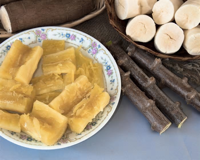 Veja como o sucesso de tapioca e pão de queijo estimulam o aumento da produção de mandioca