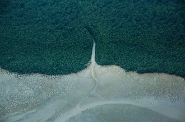 Petróleo na Amazônia: por que não explorar