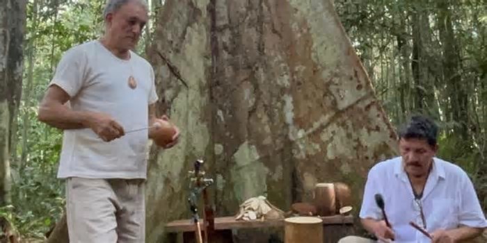 Bioinstrumentos – Sons da Amazônia une música e sustentabilidade em oficinas gratuitas
