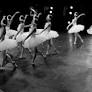 Brasília está prestes a dar um grande passo na valorização da dança clássica com a criação da Escola de Formação Bailarinos de Brasília e a formação do...