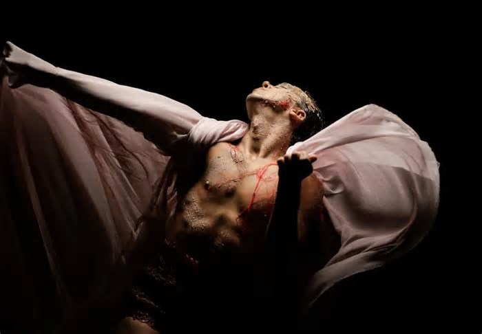 Gustavo Silvestre apresenta Metamorfose no Teatro do IFG - GRATUITO