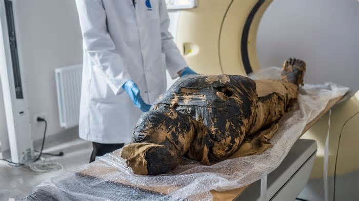 Treta na arqueologia: estudo que concluiu gravidez de múmia é chamado de 